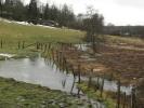 Ruisseaux de Longvilly (2)
